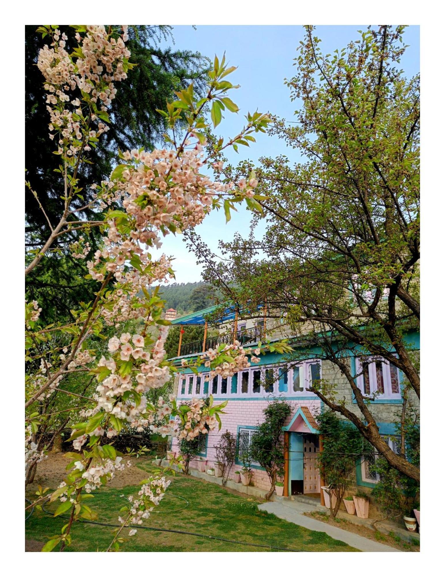 Farmvilla Homestay Kalpa Bagian luar foto